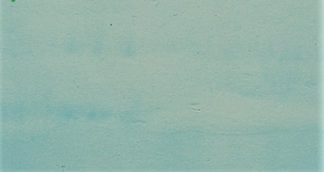 sơn không đều màu